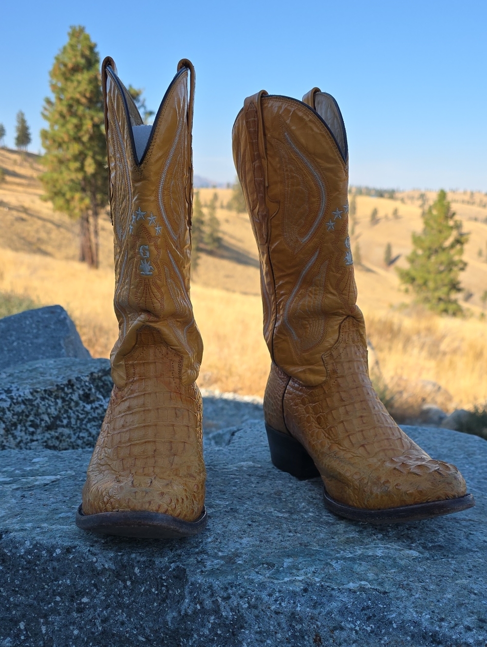 El General Buttercup Crocodile-Textured Cowboy Boots